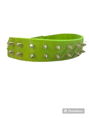 24''PET COLLAR - LIGHT GREEN -SPIKE