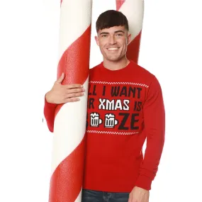 Mens Novelty Christmas Jumper All I Want For Xmas Is Booze