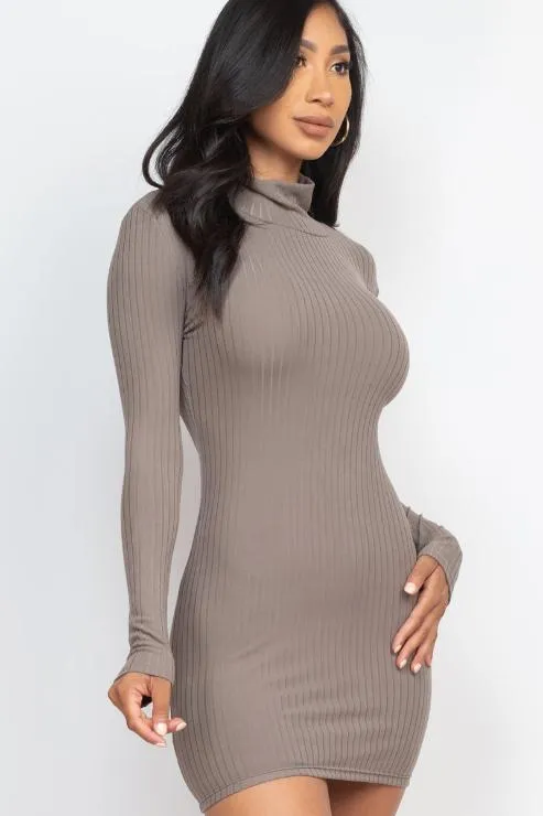 Ribbed Mock Neck Bodycon Mini Dress