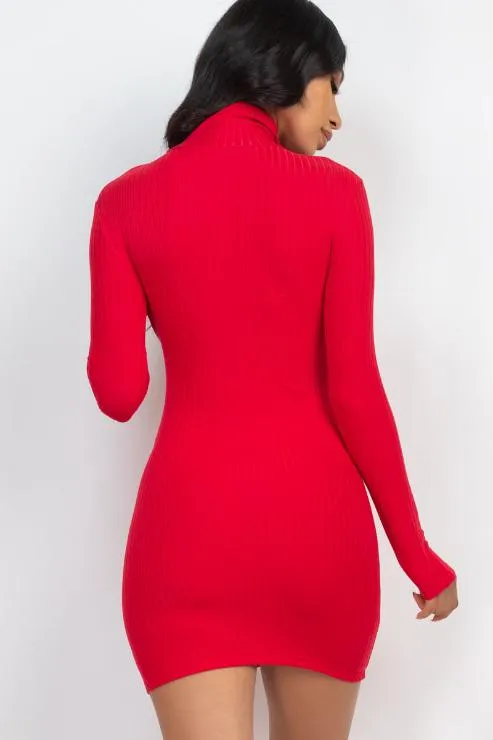 Ribbed Mock Neck Bodycon Mini Dress