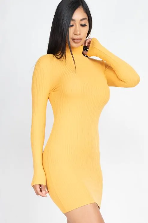 Ribbed Mock Neck Bodycon Mini Dress